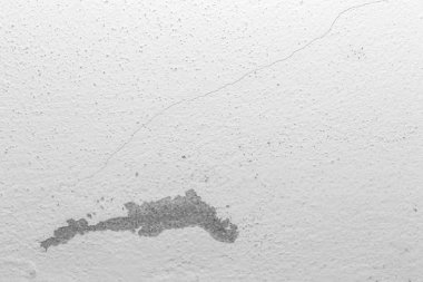 Beyaz renk Grunge beton arka plan gri çimento textu peeling