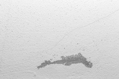 Beyaz renk Grunge beton arka plan gri çimento textu peeling