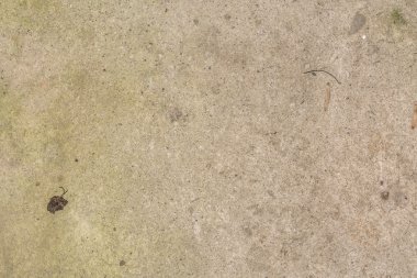 Kirli beyaz ve leke dokulu arka plan Çimento Beton