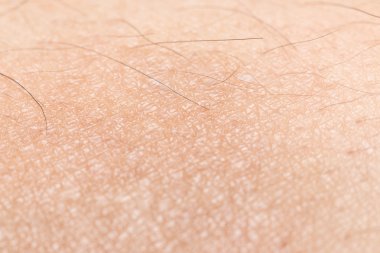 İnsan cilt dokusunu sağlıklı bel için ciltte siyah kıllar ile