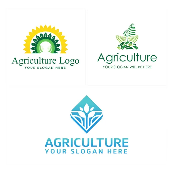 Rolnictwo zielony liść plantacji roślin projekt logo — Wektor stockowy