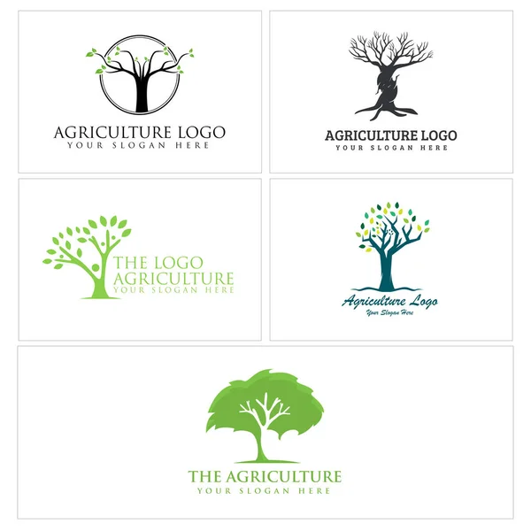 Agriculture community nonprofit foundation tree people logo design — Stock Vector