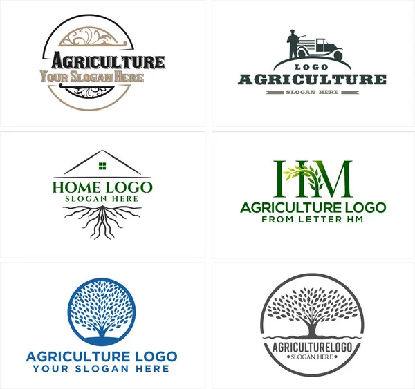 Um conjunto de design de logotipo da agricultura — Vetor de Stock