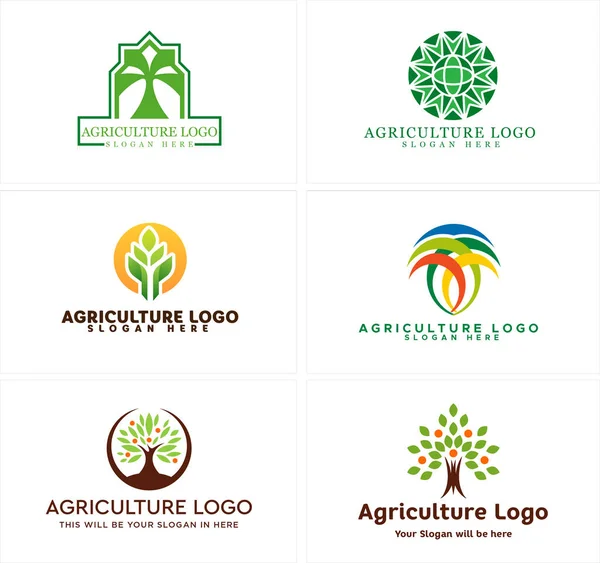 Agricultura árvore folhas planta logotipo design — Vetor de Stock
