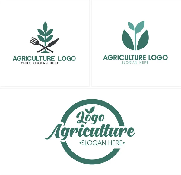 Agricultura folha planta alimento saudável logotipo design — Vetor de Stock