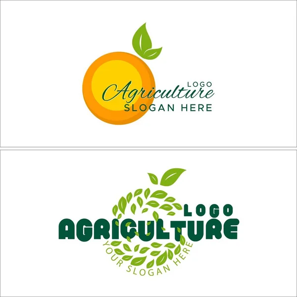 Agriculture nature organic fruit orange logo design — Stock Vector