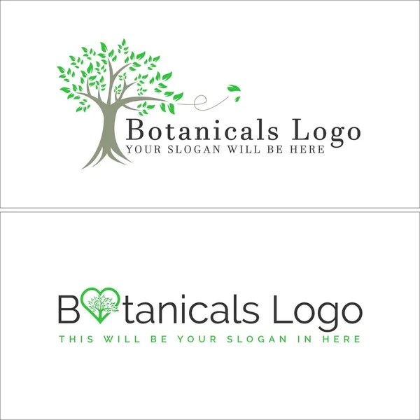 Botanical tree leaves vector logo design — Stock Vector