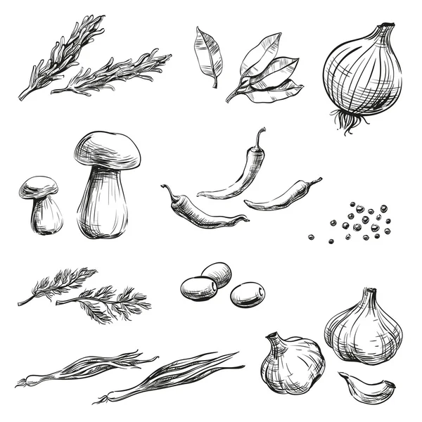 Spices, herbs, condiments and vegetables icons hand drawing on chalkboard, set for cooking, menu design restaurants, cafes, bistros or packaging for the food, isolated graphic vector, black strokes and lines without background — Stock Illustration Spices, herbs, condiments and vegetables icons hand drawing on chalkboard, set for cooking, menu design restaurants, cafes, bistros or packaging for the food, isolated graphic vector, black strokes and lines without background Vector Graphics