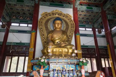 Buda heykeli: Lumbini, Nepal Çin Tapınağı içinde