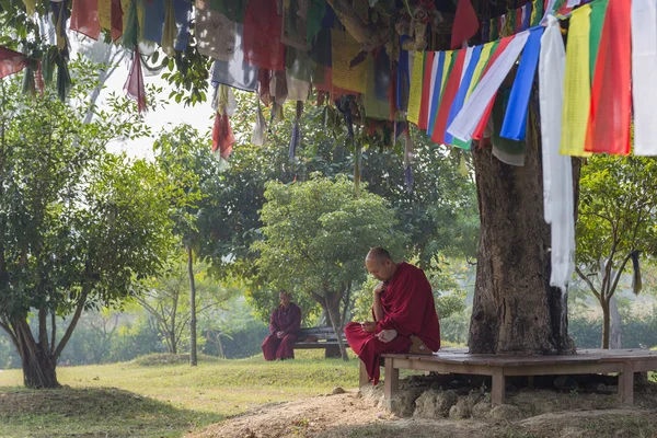 Οι μοναχοί που κάθεται κάτω από ένα δέντρο στο Lumbini, Νεπάλ — Φωτογραφία Αρχείου