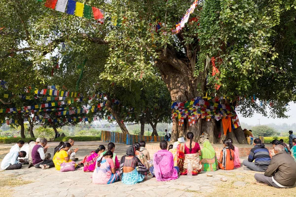 Pilger beten unter dem Bodhi-Baum in Lumbini, Nepal — Stockfoto