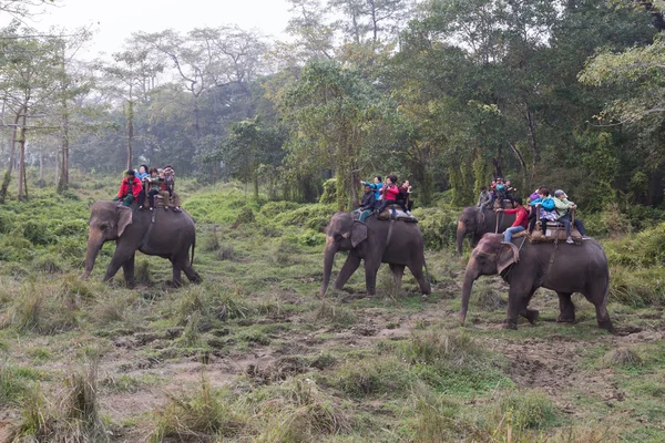 Tourist on an elephant safari in Chitwan National Park, Nepal — Stock Photo, Image