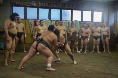 Sumo güreş eğitim: Tokyo, Japan