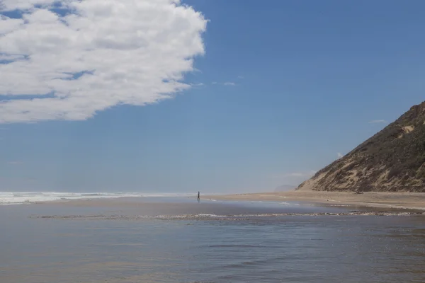 Baylys Beach sur l'île du Nord, Nouvelle-Zélande — Photo