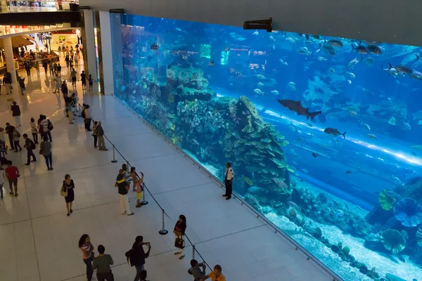 Acuario dentro del Dubai Mall — Foto de Stock