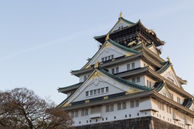 Japonya, Osaka 'daki tarihi Japon kalesi.
