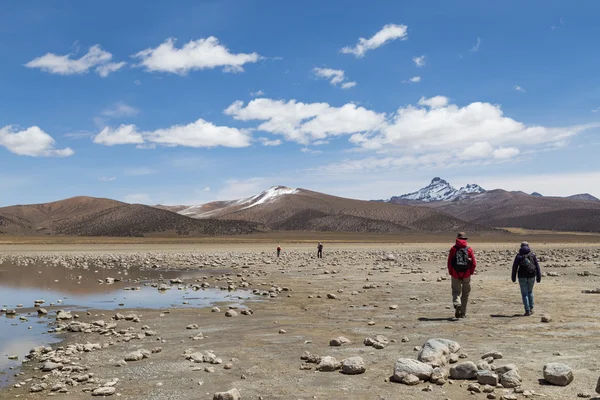 Turystów w parku narodowym Sajama w Boliwii — Zdjęcie stockowe