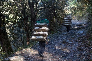 Tavuk taşıma, Nepal