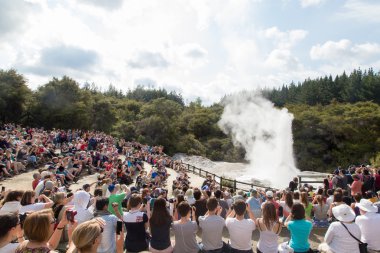 Bayan knox Şofben Yeni Zelanda