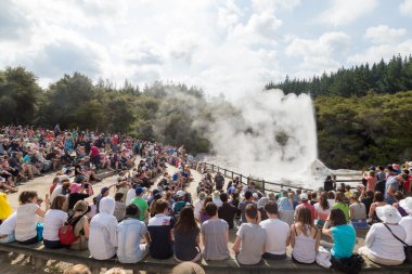 Bayan knox Şofben Yeni Zelanda