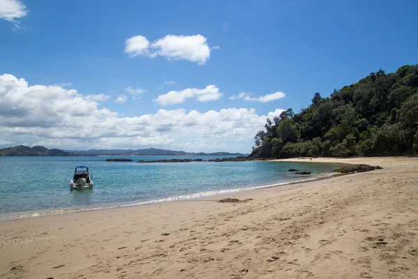 Whale Bay na costa de Tutukaka, na Nova Zelândia — Fotografia de Stock