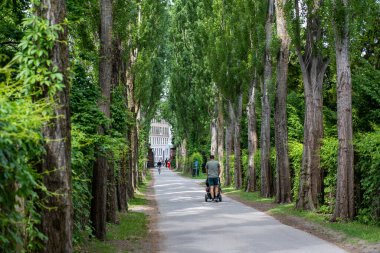 Kopenhag, Danimarka 'daki Mezarlığa Yardım Ediyor