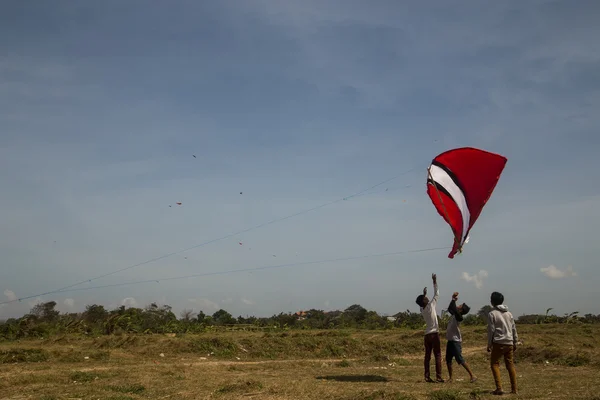 Cerf-volant géant Bali — Photo