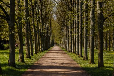 Celle'deki Fransız Bahçe