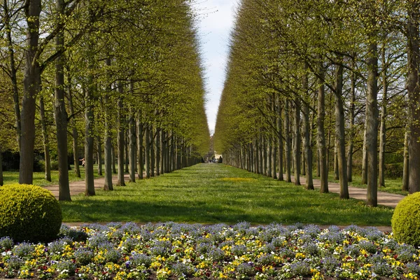 Celle'deki Fransız Bahçe