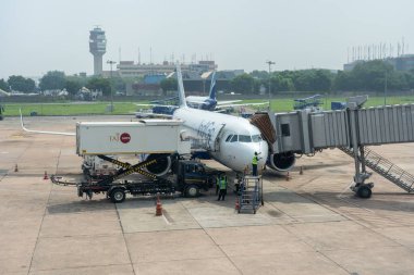 Delhi, Hindistan - 9 Eylül 2024: Indigo Airbus A320 neo Indira Gandhi Uluslararası Havaalanı 'na park etti.