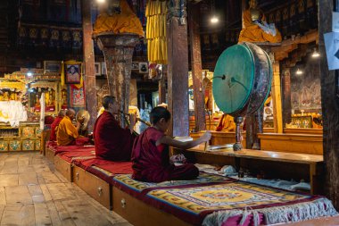 Thiksey, Hindistan - 17 Eylül 2025: Thiksey Manastırı 'ndaki günlük sabah töreninde keşişler