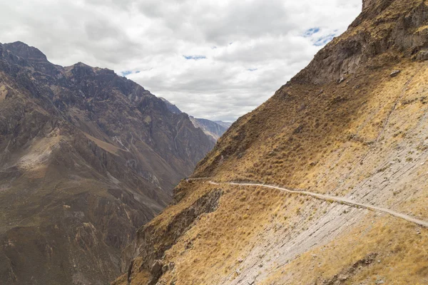 Διαδρομή για πεζοπορία στο Colca Canyon — Φωτογραφία Αρχείου