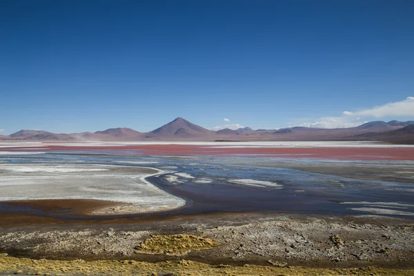 Laguna Colorada w Boliwii — Zdjęcie stockowe