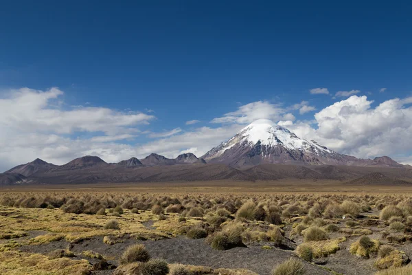 Parco nazionale del Sajama — Foto Stock