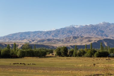 Kırgızistan'daki güzel manzara