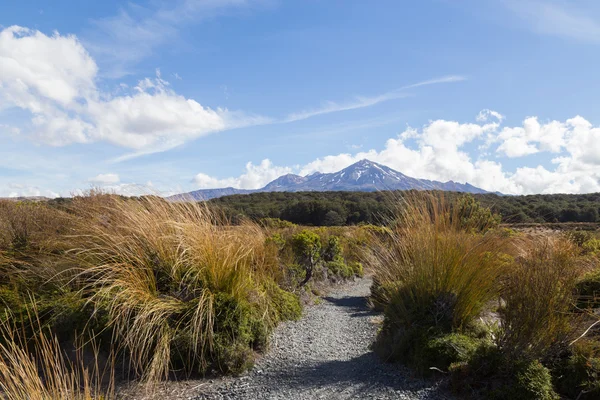 Uitzicht op Mount Ruapehu — Stockfoto