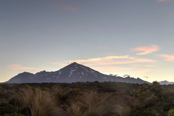 Uitzicht op Mount Ruapehu — Stockfoto