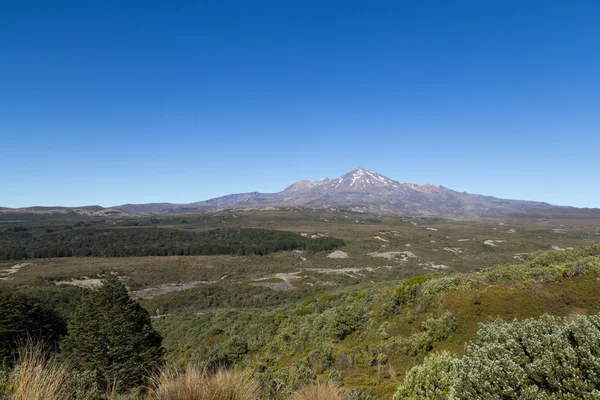 Vista del Monte Ruapehu — Foto de Stock