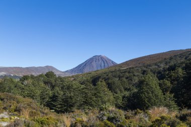 Mount Ngauruhoe görünümünü