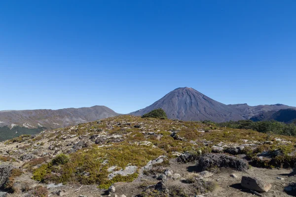 Blick auf den Mount Ngauruhoe — Stockfoto