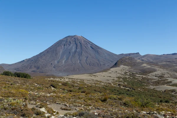 Vista do Monte Ngauruhoe — Fotografia de Stock