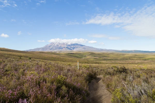 Pohled na Mount Ruapehu — Stock fotografie