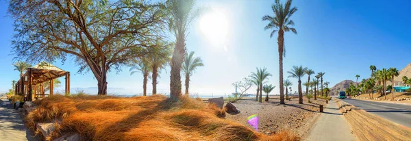 Kızıl deniz boyunca uzanan yol Eilat İsrail