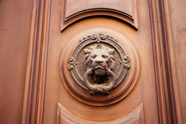 Austria. Vienna. Bussare alla porta a forma di leone su una porta di legno — Foto Stock