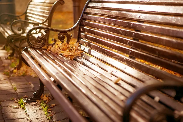 Herbst. Bänke im Park an einem sonnigen Tag lizenzfreie Stockbilder