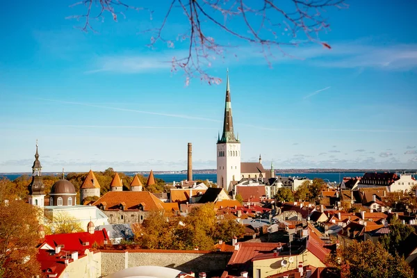 Estonia. Tallinn. Jesienny widok Toompea z observatio Zdjęcie Stockowe