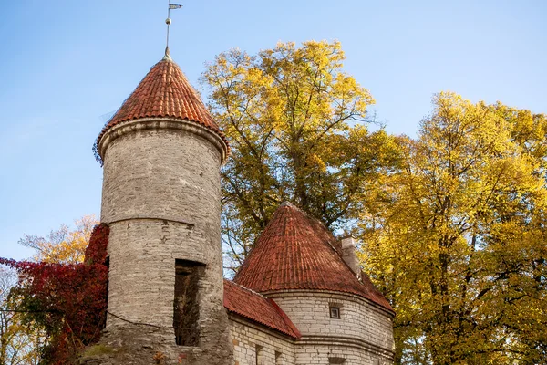 Estonia. Tallinn. Jesienny widok wieża twierdzy Zdjęcie Stockowe