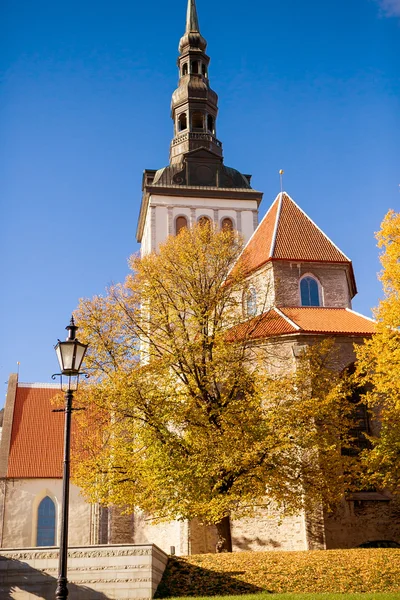 Estonia. Tallinn. Jesienny widok na wieżę kościoła St. Obrazek Stockowy