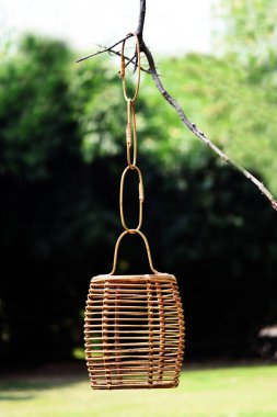 Açık arka plan seçici yumuşak odaklı kamış lambası