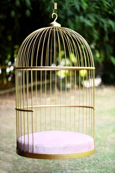 Chaise Pivotante Forme Cage Oiseaux Chaise Suspendue Design Cage Avec — Photo